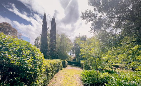 Sanctuary Park Cottages - VIC Tourism 1