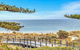 Seacliff Cove - Breezy Beachfront Tranquillity - thumb 3