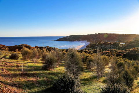 Sheoaks - VIC Tourism 1