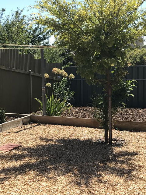 Beatty Cottage - VIC Tourism 2