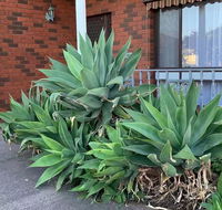 Beautiful Bedroom in Bentleigh East - VIC Tourism