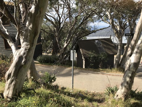 Beehive 18 - VIC Tourism 1