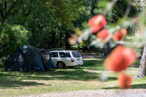 Belair National Park Holiday Park - VIC Tourism 0