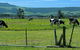Bella Vista - thumb 3