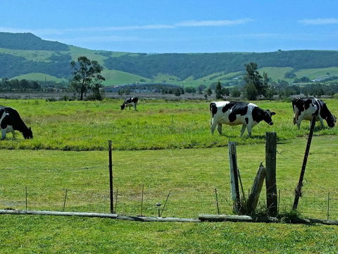 Bella Vista - VIC Tourism 3
