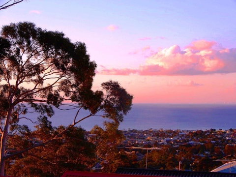Bellevue - VIC Tourism 0