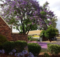 Belvoir Village Motel  Apartments Wodonga - VIC Tourism