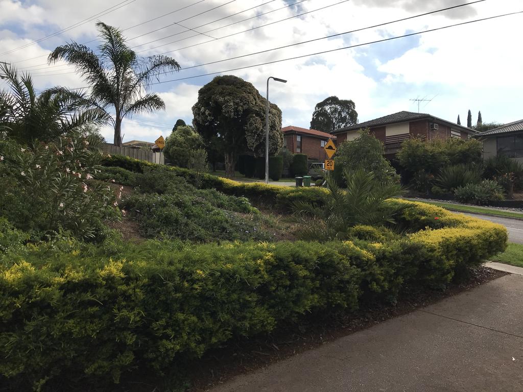 Watsonia VIC VIC Tourism