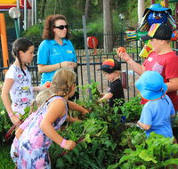 BIG4 Koala Shores Holiday Park - VIC Tourism