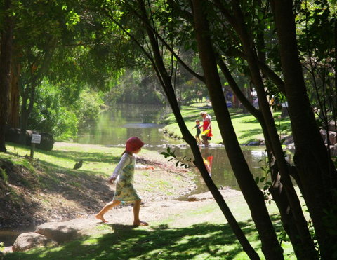 BIG4 Wye River Holiday Park - VIC Tourism 0