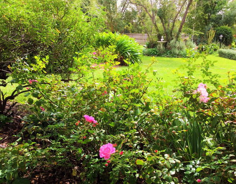 Bindley House B&B Cottage - VIC Tourism 2