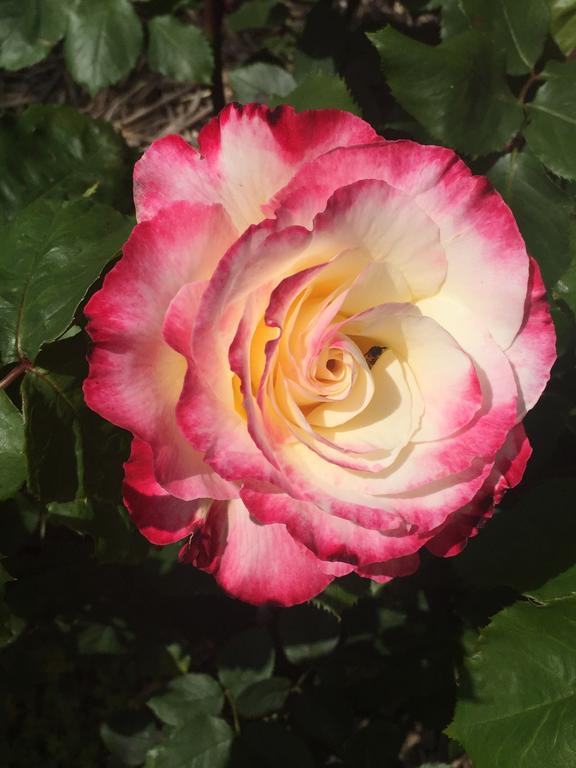 Gobur VIC VIC Tourism