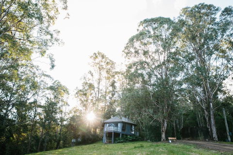 Bluegums Cabins - VIC Tourism 0