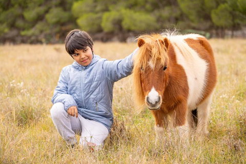 The Little Grove Retreat By Tiny Away - VIC Tourism 3