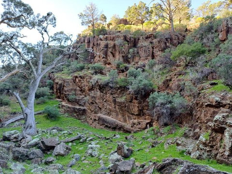 Spear Creek Holiday Park - VIC Tourism 3