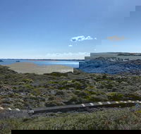 Penguin Island And Fremantle - Canoe Chocolate  Coffee - VIC Tourism