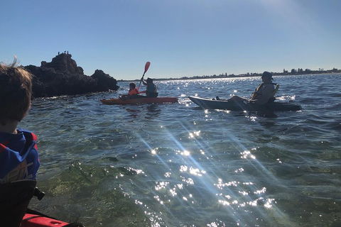Penguin Island And Fremantle - Canoe, Chocolate & Coffee - VIC Tourism 1
