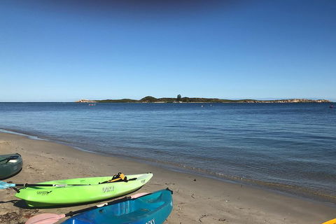 Penguin Island And Fremantle - Canoe, Chocolate & Coffee - VIC Tourism 2