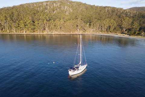 Twilight Sail Bruny Island - VIC Tourism 3