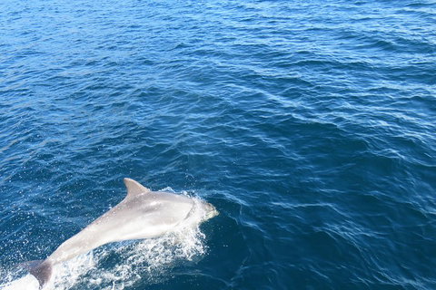Twilight Sail Bruny Island - VIC Tourism 5