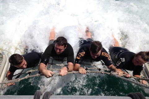 Cruise In Moreton Bay Marine Park And Moreton Island - VIC Tourism 0