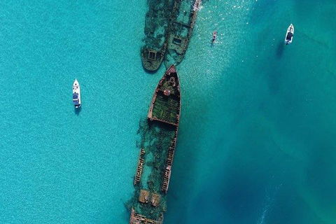 Cruise In Moreton Bay Marine Park And Moreton Island - VIC Tourism 1