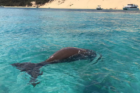 Cruise In Moreton Bay Marine Park And Moreton Island - VIC Tourism 2