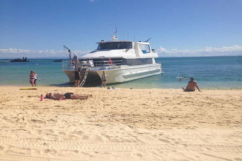 Cruise In Moreton Bay Marine Park And Moreton Island - VIC Tourism 4