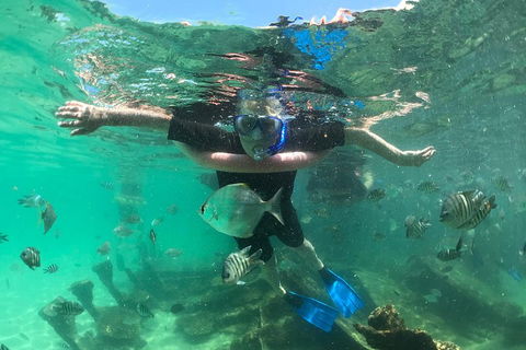 Cruise In Moreton Bay Marine Park And Moreton Island - VIC Tourism 5
