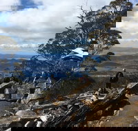 kunanyi / Mt Wellington Explorer Bus - 2 Hour Return Tour - VIC Tourism