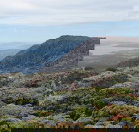 kunanyi/Mt Wellington Explorer Bus - One Way Tour - VIC Tourism