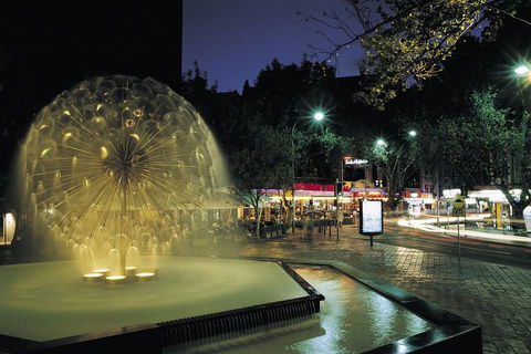 Private Tour: Sydney At Night - VIC Tourism 1