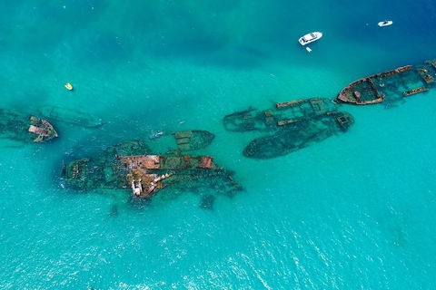 Private Tangalooma Wrecks Tour - VIC Tourism 0