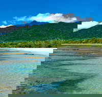 8-Day Cairns Tour Great Barrier Reef Kuranda Daintree Rainforest - VIC Tourism