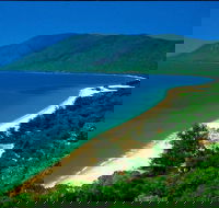 Cairns Reef and Rainforest Combo Daintree Rainforest and the Great Barrier Reef - VIC Tourism