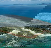 4-Day Cairns with Great Barrier Reef and Daintree Rainforest - VIC Tourism