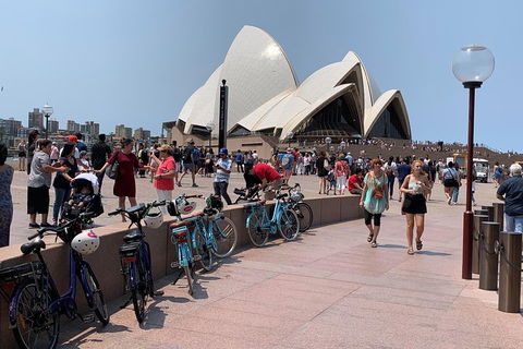The Big Easy - VIC Tourism 4