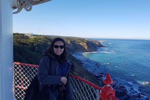 Great Ocean Road Full Day Private Experience - VIC Tourism 1