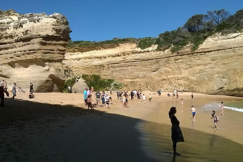 Great Ocean Road Full Day Private Experience - VIC Tourism 3