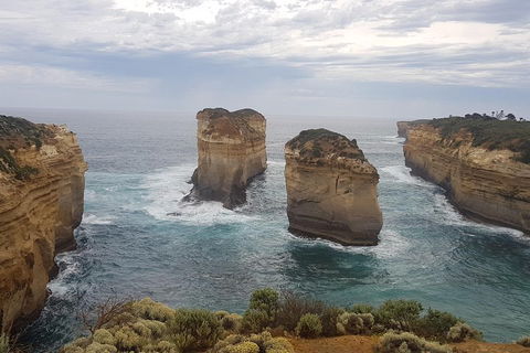 Private Express Experience - 12 Apostles - VIC Tourism 5
