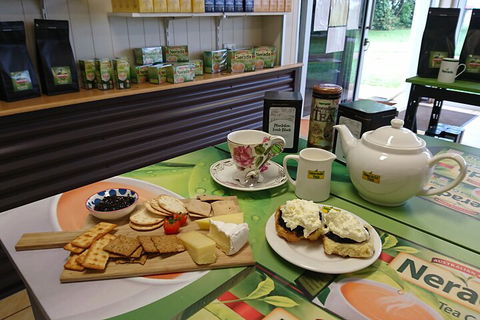 Atherton Tablelands Small-Group Food & Wine Tasting Tour From Port Douglas - VIC Tourism 5