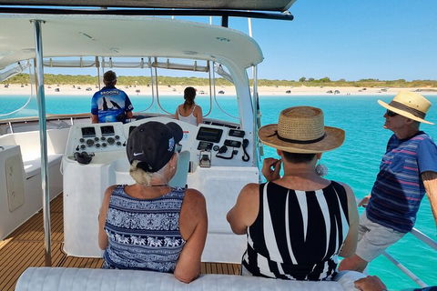 Snubfin Dolphin Eco Cruise From Broome - VIC Tourism 5