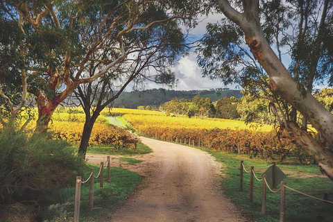 McLaren Vale Winery Small Group Tour With Wine Tasting And Lunch - VIC Tourism 1