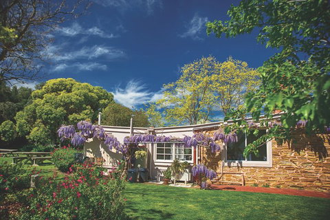 McLaren Vale Winery Small Group Tour With Wine Tasting And Lunch - VIC Tourism 2