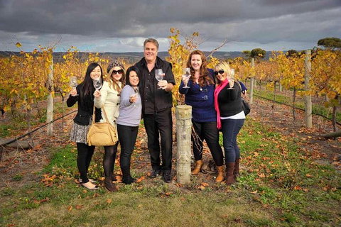 McLaren Vale Winery Small Group Tour With Wine Tasting And Lunch - VIC Tourism 3