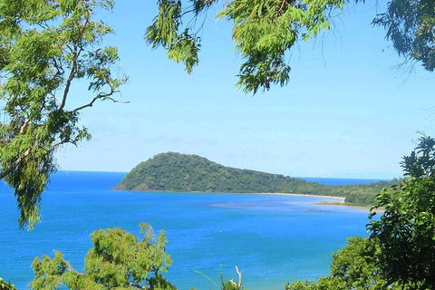 Full Day Tour In The Daintree - VIC Tourism 1