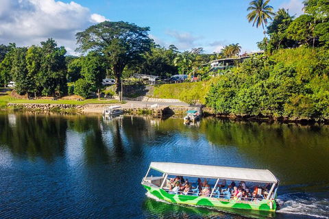 Full Day Tour In The Daintree - VIC Tourism 2