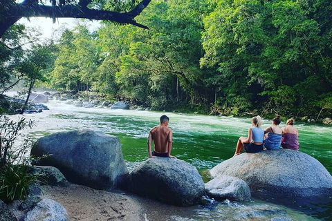 Full Day Tour In The Daintree - VIC Tourism 3