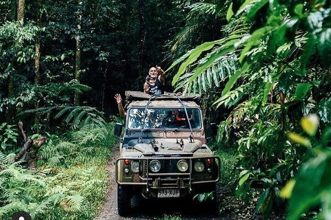 Full Day Tour In The Daintree - VIC Tourism 4