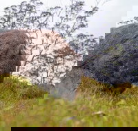 3-Day Cradle Mountain Photography Workshop - VIC Tourism